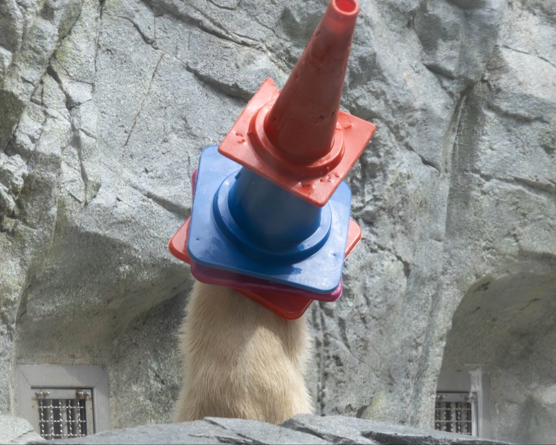 Momota with a stack of cones balanced on his head